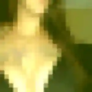 rencontre cougar à Petit-Couronne : photo de Elsa, 28 ans - sans engagement