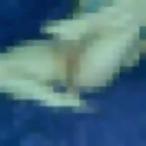 rencontre cougar à Pierrelaye : photo de Colombine, 20 ans - accès libre