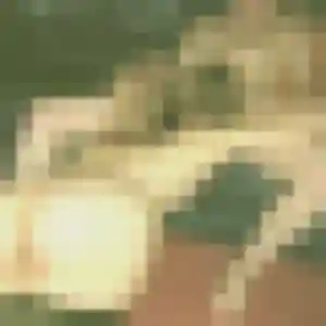 Photo de Hilary à Ploudalmézeau (36 ans) - rencontre cougar sans inscription