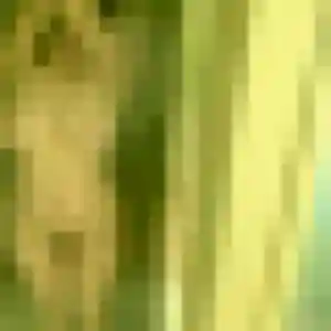 Photo perso de Agnes, 37 ans à Plougastel-Daoulas - rencontre coquine