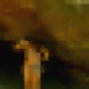 rencontre cougar à Quimper : profil de Germaine, 27 ans - accès libre