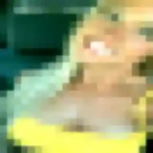 Ophelie, 23 ans, disponible à Rambervillers pour une rencontre coquine