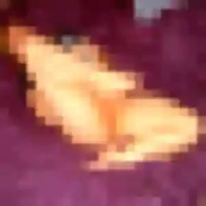 Profil de Lea à Riantec (32 ans) - rencontre cougar gratuit