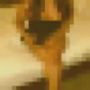 Estee, femme de 28 ans cherche rencontre cougar à Romilly-sur-Seine