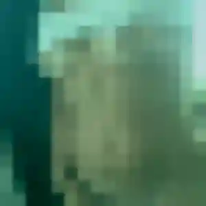 Salome (26 ans) à Roques attend un rencontre cougar ce soir