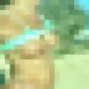 Profil de Caroline à Roubaix (43 ans) - rencontre cougar discret