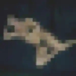 Photo privée de Wilhelmine, 25 ans à Saint-Brevin-les-Pins - rencontre coquine