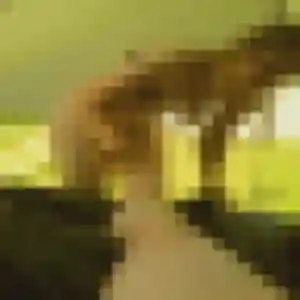 Photo privée de Anne-Marie, 28 ans à Saint-Brice-sous-Forêt - rencontre sans lendemain