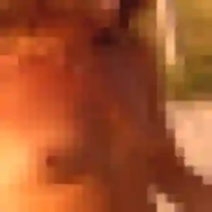 Therese, fille de 20 ans cherche rencontre cougar à Saint-Denis-lès-Bourg