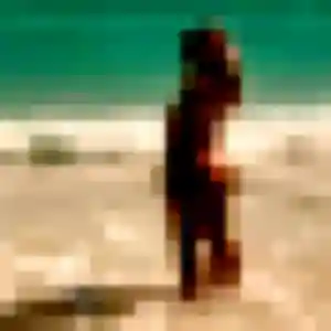 Jolie Whitney, 19 ans à Saint-Esprit - découvrir son profil