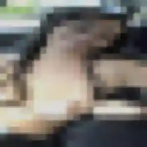 Siham de Saint-Jean-de-Monts, 32 ans - rencontre cougar sans lendemain