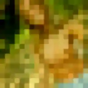 Muriel, 42 ans, en ligne à Sceaux pour un rencontre cougar