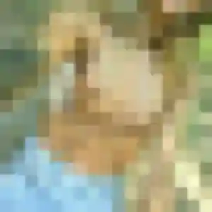 Photo de Flavie à Soyaux (34 ans) - rencontre cougar anonyme
