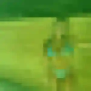 Photo de Azalee à Tassin-la-Demi-Lune (27 ans) - rencontre cougar anonyme