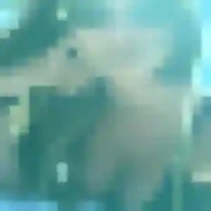 Orane (41 ans) à Vitré propose une rencontre rapidement