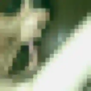 Charmante Tatyana, 34 ans à Wimereux - la contacter