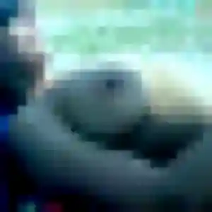 Rejoins Ilona, 30 ans à Wittenheim en t'inscrivant